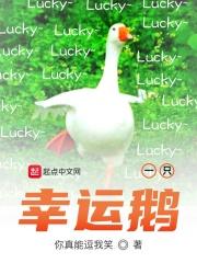 幸运鹅老板解说