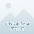 原型系统开发