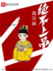 我崇祯绝不上吊完本