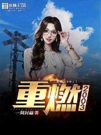 重燃2003无弹窗