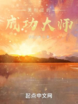 美利坚的成功大师免费阅读