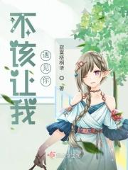 不该让我遇见你歌词