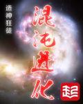 混沌进化TXT全集