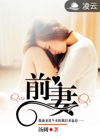 前妻电视剧全集免费观看高清