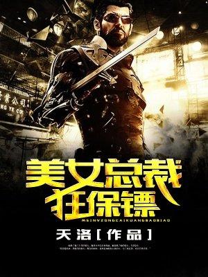 美女总裁保镖的电视剧