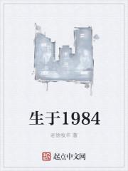 生于1984加料版