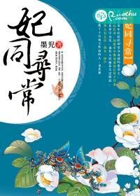 易次元妃同寻常攻略