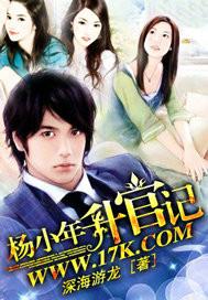 杨小年升官记txt全本