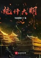 统计大明精校版
