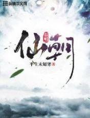 仙朝类