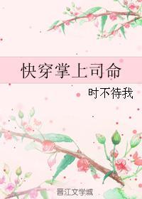 掌上娇快穿全文