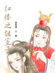 红楼之继室历久弥坚