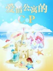 爱情公寓的cs
