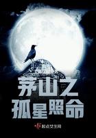 茅山遗孤在线收听完整版