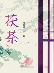 茯茶是哪里的特产