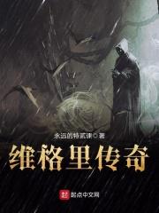 维格里传奇笔趣阁